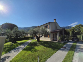 Maryhouse Borso Del Grappa
